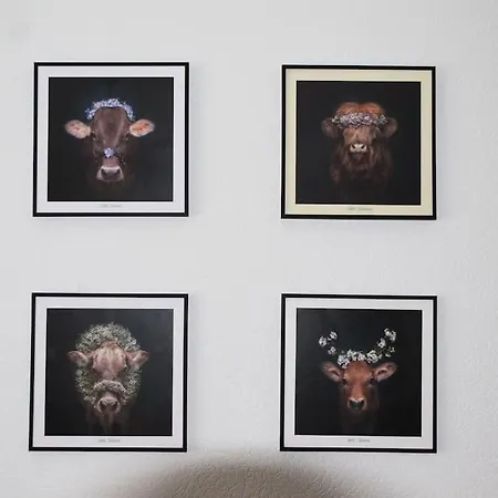 Maison Harzliesel Appartement